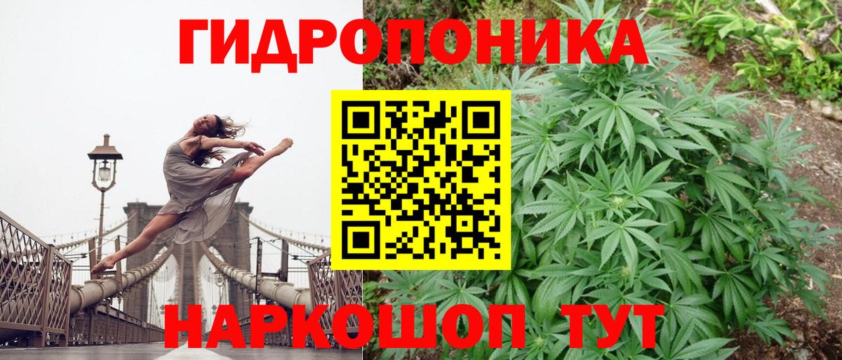 Шишки марихуана план  Марихуана индика  МАРИХУАНА AK-47  Боровичи  Вход с VPN 